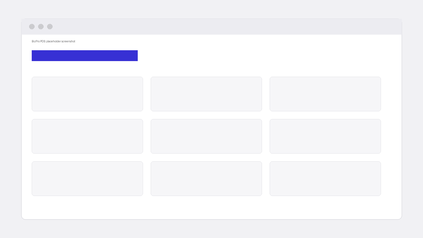 Placeholder screenshot for BizPro POS